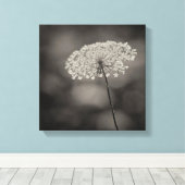 Grote Koningin Anne's Kant Bloem Zachte Achtergron Canvas Afdruk (Insitu (Houten vloer))