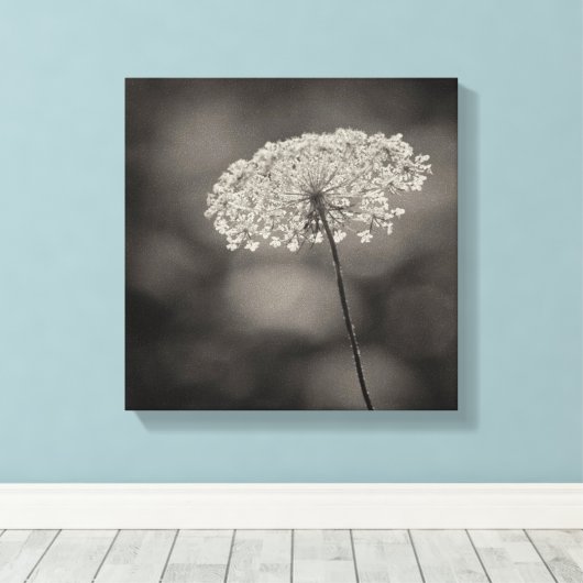 Grote Koningin Anne's Kant Bloem Zachte Achtergron Canvas Afdruk (Insitu (Houten vloer))