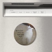 Grote kont?-Geen staartkat Magneet (Insitu (Vaatwasser))