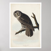 Grote kousenboomkor door Poster van Audubon (Voorkant)