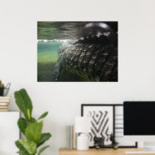 Grote krokodil poster (Thuiskantoor)