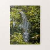 Grote krokodillen zwemmen in moeraswater legpuzzel (Verticaal)