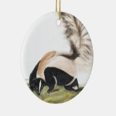 Grote kunk Mephitis macroura Illustratie Keramisch Ornament (Rechts)