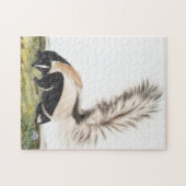 Grote kunk Mephitis macroura Illustratie Legpuzzel (Horizontaal)
