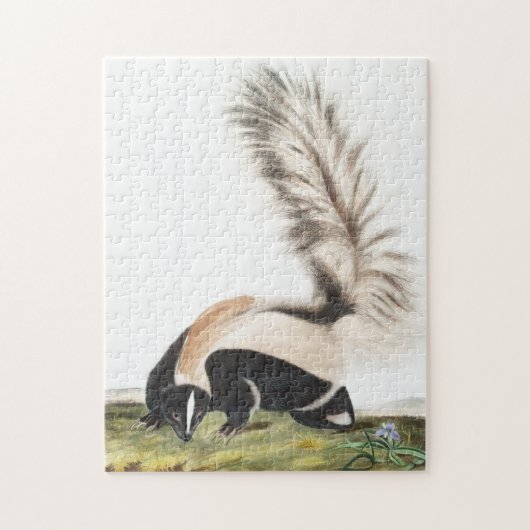 Grote kunk Mephitis macroura Illustratie Legpuzzel (Verticaal)
