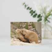 Grote kus briefkaart (Staand voorkant)