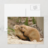 Grote kus briefkaart (Voorkant / Achterkant)