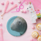 Grote lamantijn onderwater papieren bordje (Feest)