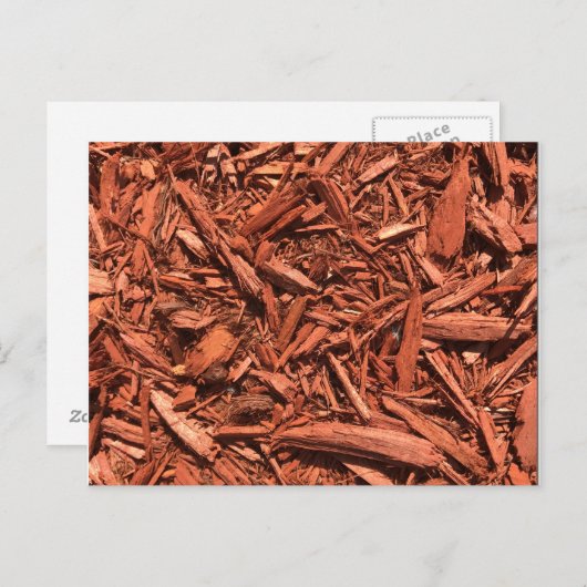 Grote landschapsleveraar met rode cedar briefkaart (Voorkant / Achterkant)