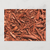 Grote landschapsleveraar met rode cedar briefkaart (Voorkant)