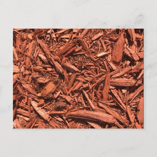 Grote landschapsleveraar met rode cedar briefkaart (Voorkant)