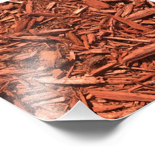 Grote landschapsleveraar met rode cedar foto afdruk (Hoek)