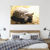 Grote landschildpad op zandgrond canvas afdruk (Insitu (Slaapkamer))