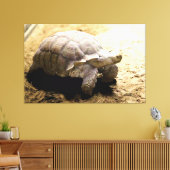 Grote landschildpad op zandgrond canvas afdruk (Insitu (Woonkamer))