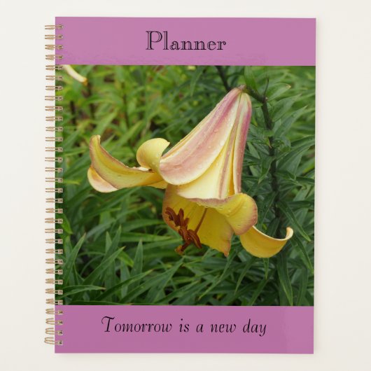 Grote lelie planner (Voorkant)