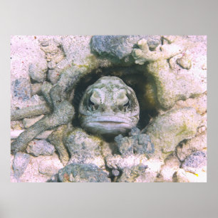 Grote lelijke kaakvis poster