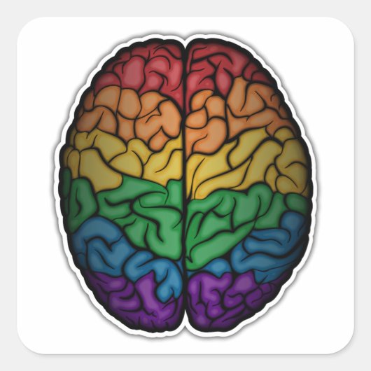 Grote LGBTQ Pride Rainbow Brain Vector Vierkante Sticker (Voorkant)