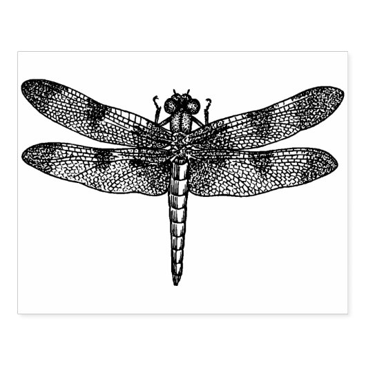 Grote libel rubberen stempel (Afrduk)