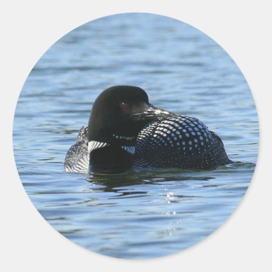 Grote Loon Stickers (Voorkant)