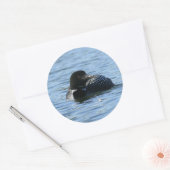 Grote Loon Stickers (Envelop)