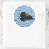 Grote Loon Stickers (Tas)