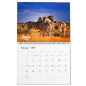 Grote Maat Exotische Dieren Kalender (Feb 2027)