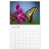 Grote Maat Mooie Vlinders Kalender (Jan 2027)