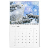 Grote Maat Mooie Vogels Kalender (Jan 2027)