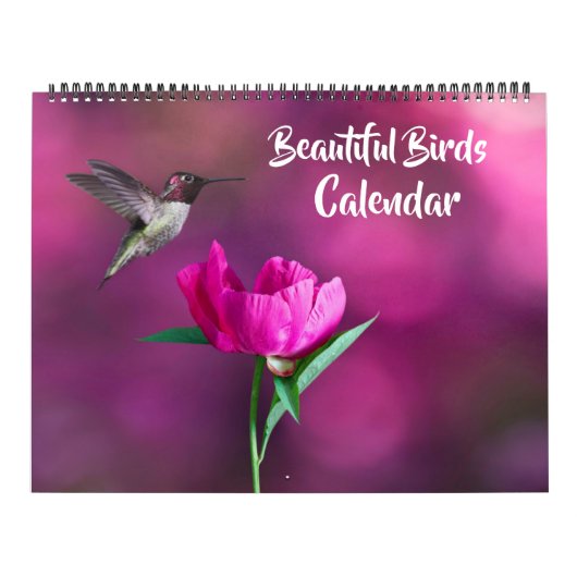 Grote Maat Mooie Vogels Kalender (Hoes)