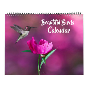 Grote Maat Mooie Vogels Kalender