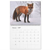 Grote Maat Yellowstone Kalender-Wildlife Kalender (Feb 2027)