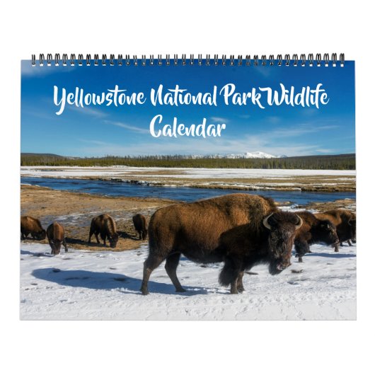 Grote Maat Yellowstone Kalender-Wildlife Kalender (Hoes)