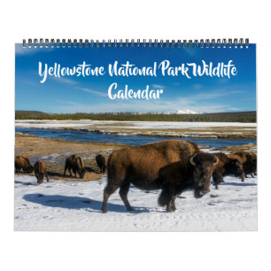 Grote Maat Yellowstone Kalender-Wildlife Kalender