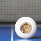 Grote majestueuze afrikaanse leeuw foto van wild d pingpongbal (Net)