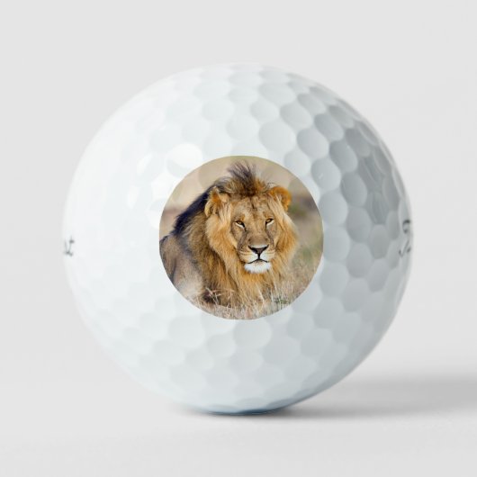 Grote majestueuze foto van wild dier golfballen (Voorkant)
