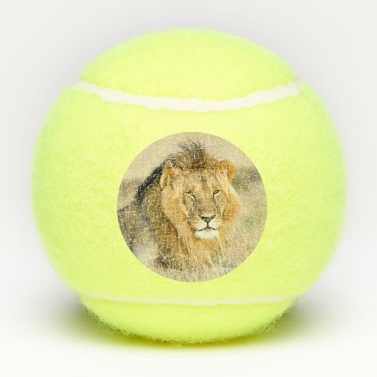 Grote majestueuze foto van wild dier tennisballen (Achterkant)