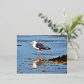 Grote Mantelmeeuw in het water Folie Feestdagen Briefkaart (Staand Voorkant)