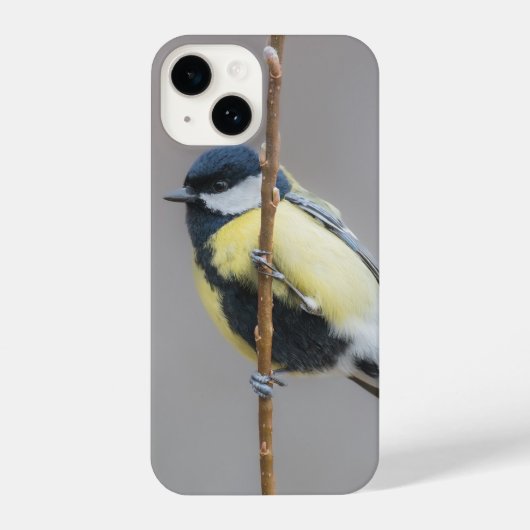 Grote mees, vogel, veren iPhone hoesje (Achterkant)