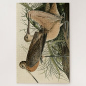 Grote Meren Godmet - Amerikaanse vogels van Audubo Legpuzzel (Verticaal)