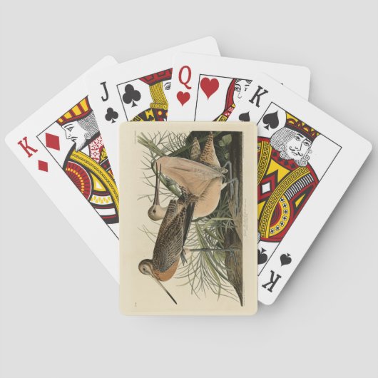 Grote Meren Godmet - Amerikaanse vogels van Audubo Pokerkaarten (Achterkant)