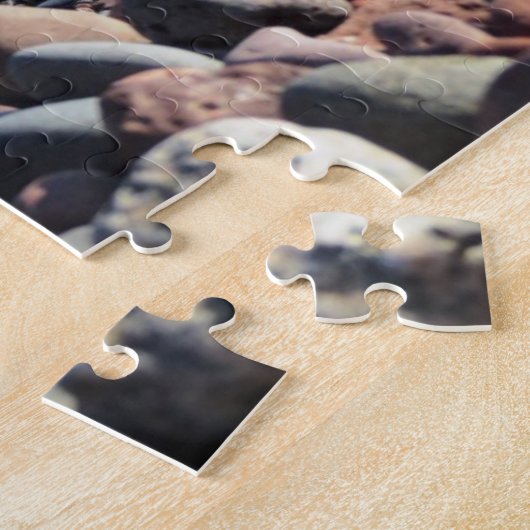 Grote meren van Duluth Minnesota Legpuzzel (Zijkant)