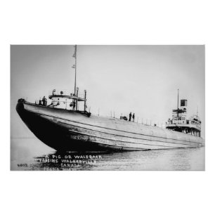 Grote meren walvisrugsteamer James B. Nielson Foto Afdruk