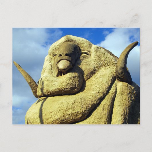 grote merino - gezicht briefkaart (Voorkant)