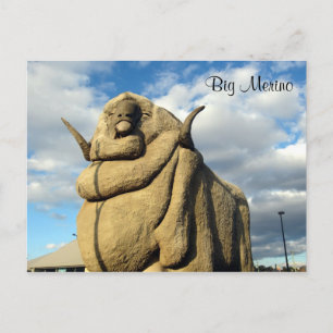 grote merino - ram briefkaart