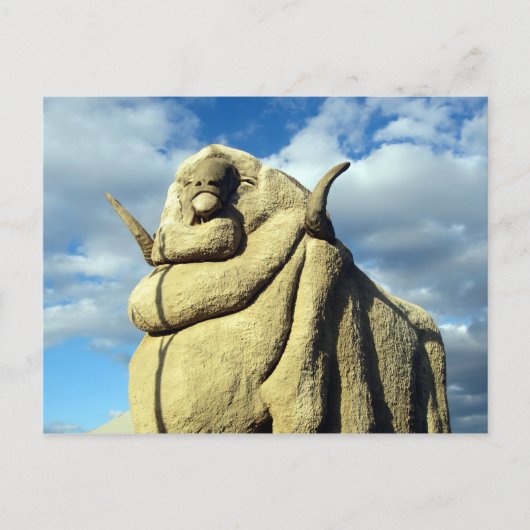 grote merino-schaap briefkaart (Voorkant)