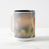 Grote Mok opbranden (Voorkant links)