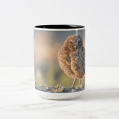 Grote Mok opbranden (Center)