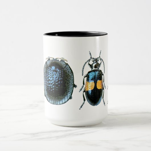 Grote Mok van Beetel (Midden)