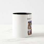 Grote Mok voor paarden (Center)