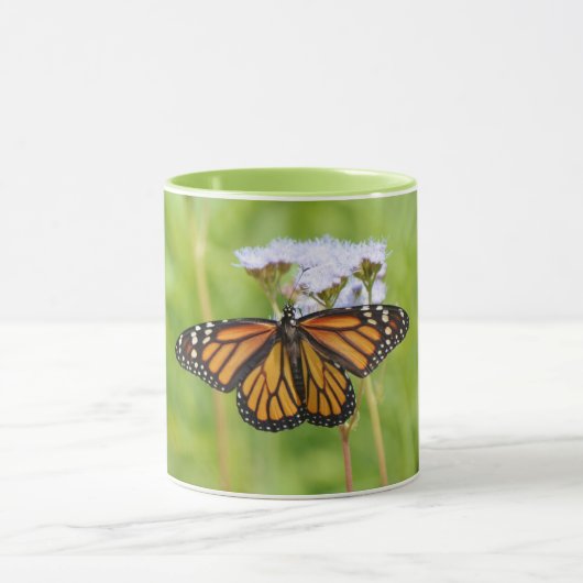 Grote monarch vlinder op wilde bloemen Natuur Mok (Midden)